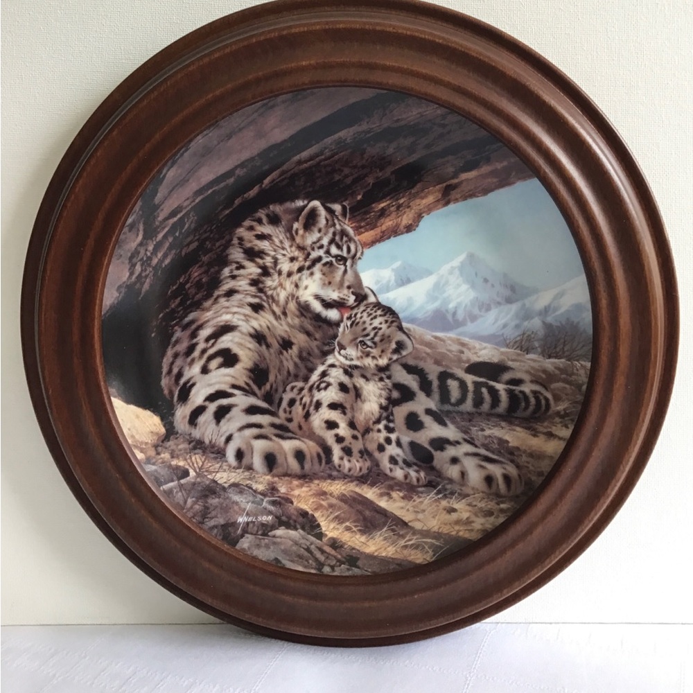 W S George - The Snow Leopard Plate with Van Hygan & Smythe Display Frame - Picture 10 of 12